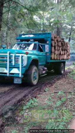 Detienen a 15 presuntos talamontes con 457 rollos de madera, en Maravatío, Michoacán - Foto 2 
