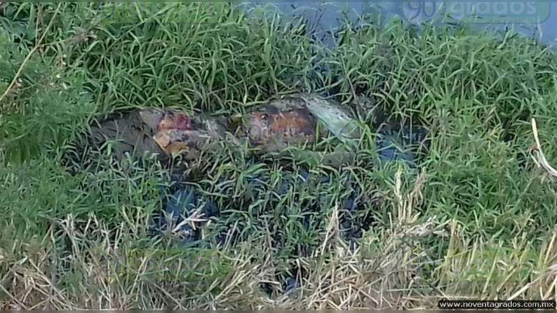 Cadáver putrefacto es hallado en el Río Balsas, en Cocula, Guerrero  