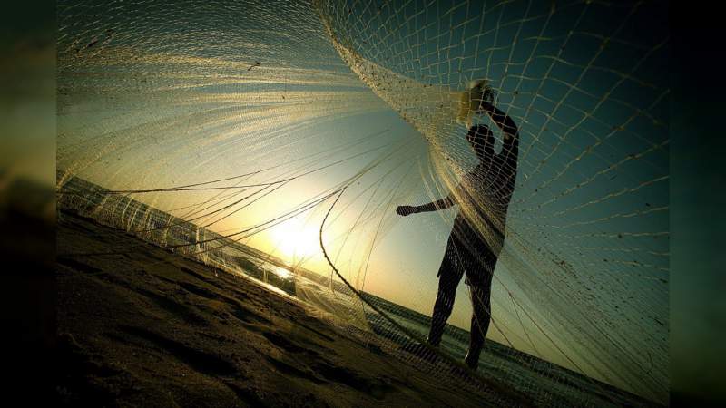Produce acuacultura mexicana más de 400 mil toneladas de pescados y mariscos 