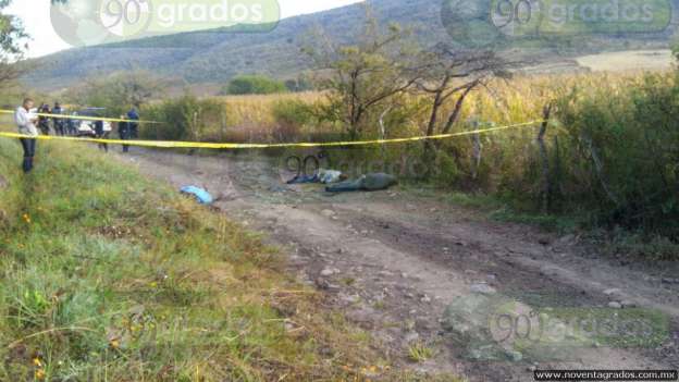 Identifican cuerpos maniatados hallados en Tangamandapio, Michoacán - Foto 4 