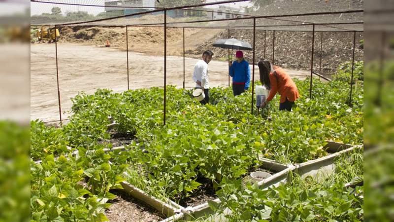 Desarrollan en la UNAM tecnosuelos para reverdecer la Ciudad de México - Foto 1 