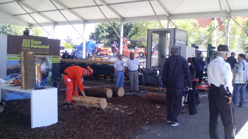 Participa Michoacán con cinco cadenas productivas en la Expo Forestal 2018 - Foto 0 