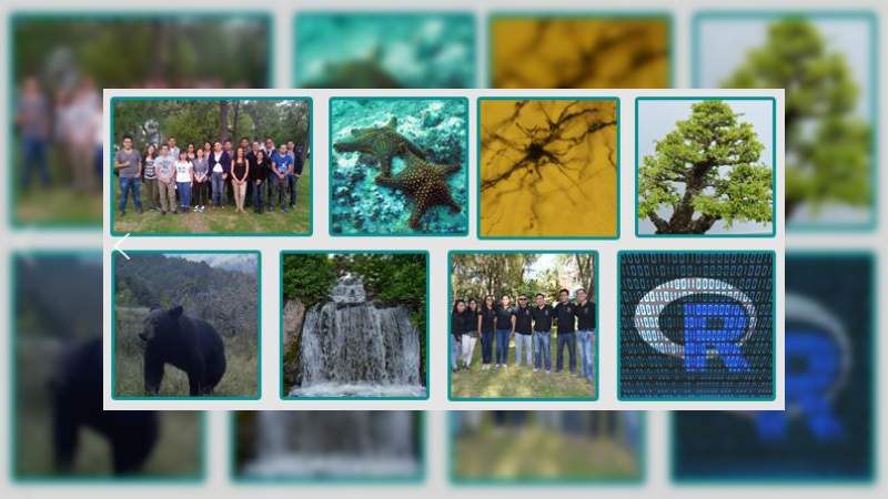 Investigadores del INIRENA ofrecen participación a alumnos en sus proyectos científicos - Foto 1 