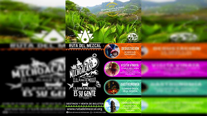 Promueve Unión de Mezcaleros de Michoacán la Ruta del Mezcal 
