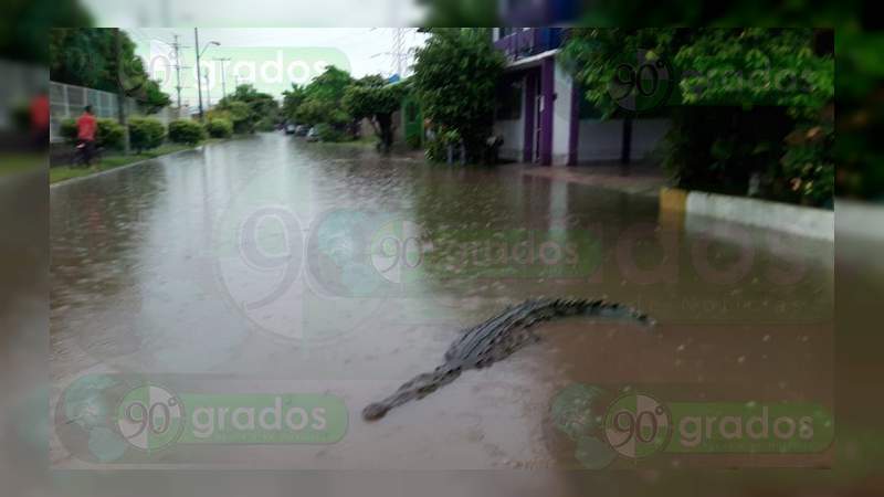 Intensa lluvia en Lázaro Cárdenas provoca inundaciones y fuga de cocodrilos - Foto 2 