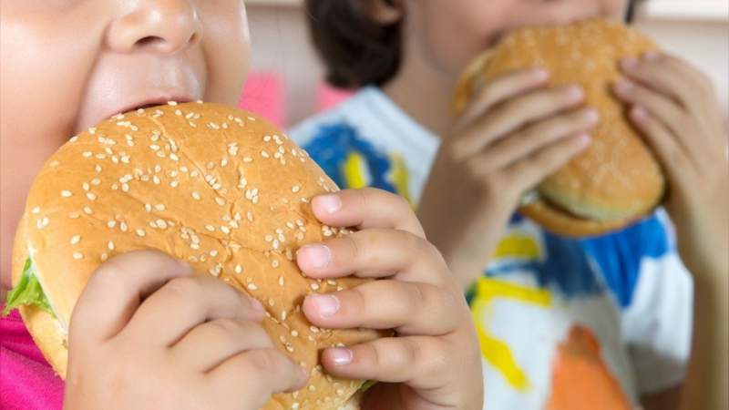 Colegio de Nutriólogos de Michoacán convocan a todos los sectores para disminuir obesidad infantil 