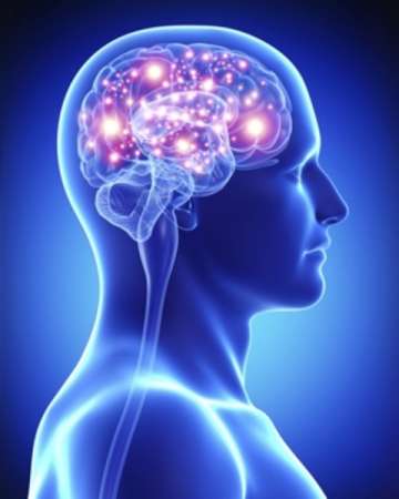 Prueban en humanos dispositivos para potenciar la memoria 