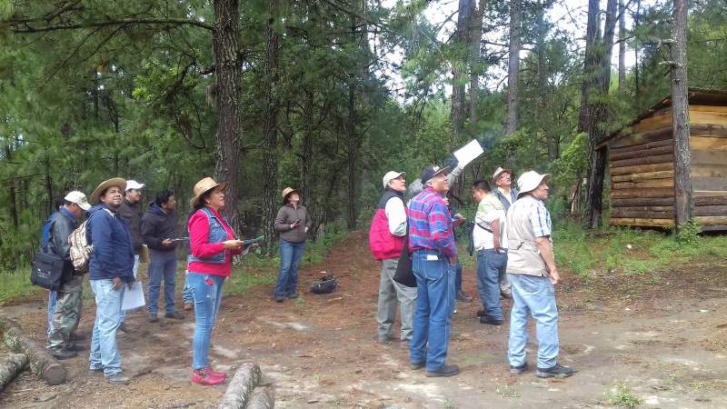 Capacita CONAFOR a 3 municipios para conservación de la biodiversidad - Foto 1 