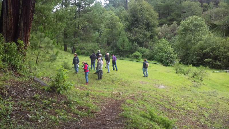 Capacita CONAFOR a 3 municipios para conservación de la biodiversidad - Foto 2 