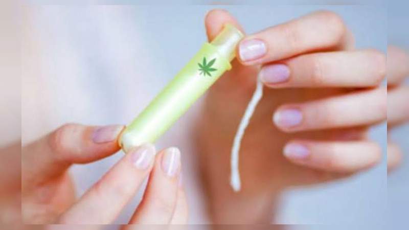 Científicos probarán los tampones con marihuana 
