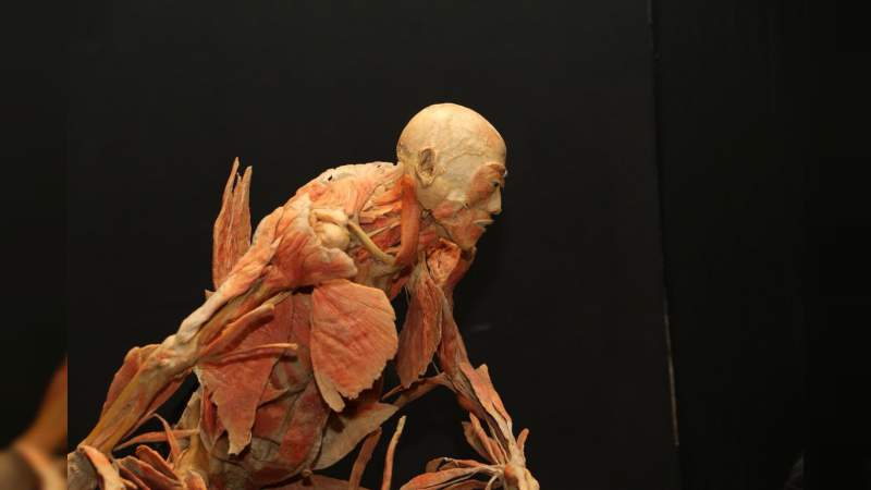 Michoacán cerrará octubre con grandes exposiciones, festivales y ferias de talla mundial  - Foto 0 