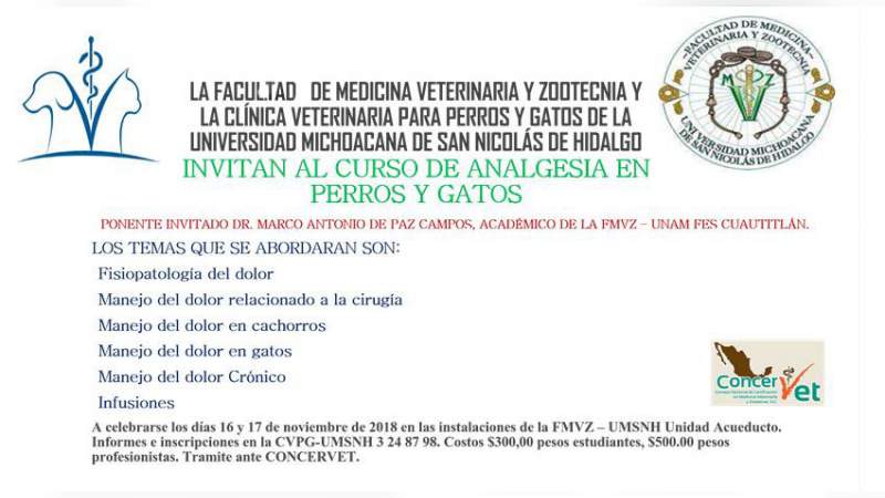 Ofrece UMSNH Curso de analgesia en perros y gatos 