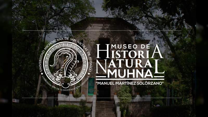 Talleres y visitas guiadas en el Museo de Historia Natural de la UMSNH - Foto 0 