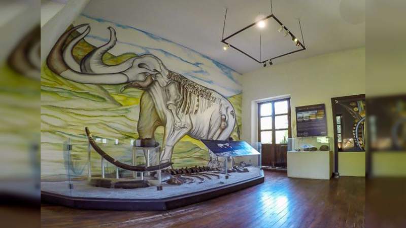 Talleres y visitas guiadas en el Museo de Historia Natural de la UMSNH - Foto 1 
