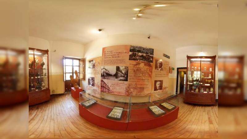 Talleres y visitas guiadas en el Museo de Historia Natural de la UMSNH - Foto 2 