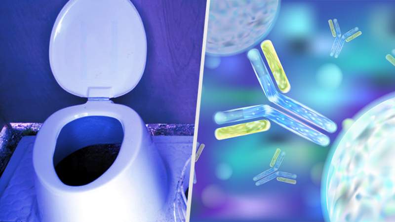 Alumnos de la UNAM crean un inodoro que no utiliza agua 