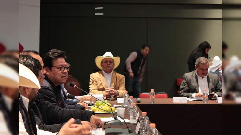 Impulsaré el desarrollo del campo michoacano: Salvador Arvízu - Foto 0 