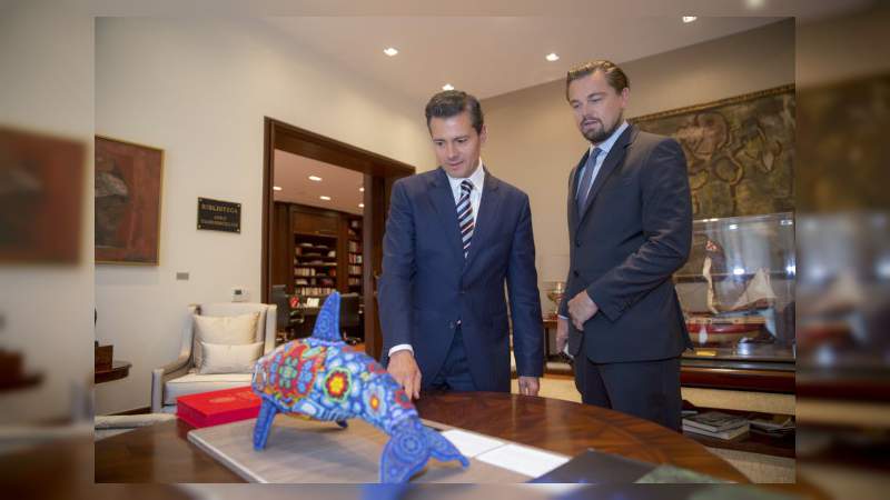 Leonardo Dicaprio lanzará un documental a favor de la vaquita marina 