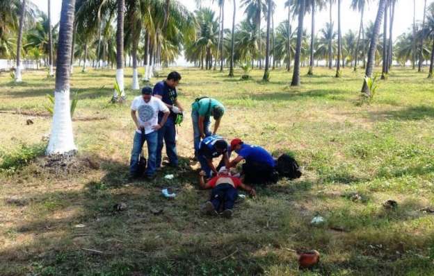 Tres heridos tras chocar contra palmera en Lázaro Cárdenas, Michoacán - Foto 2 
