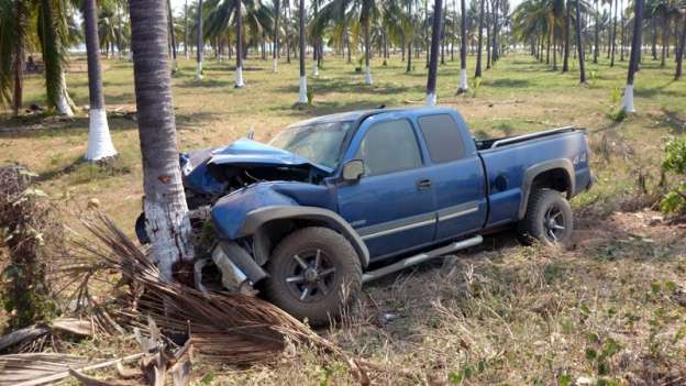 Tres heridos tras chocar contra palmera en Lázaro Cárdenas, Michoacán - Foto 3 