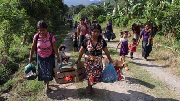 Por temor a ser asesinados, 50 familias de una localidad en Guerrero abandonan sus hogares 