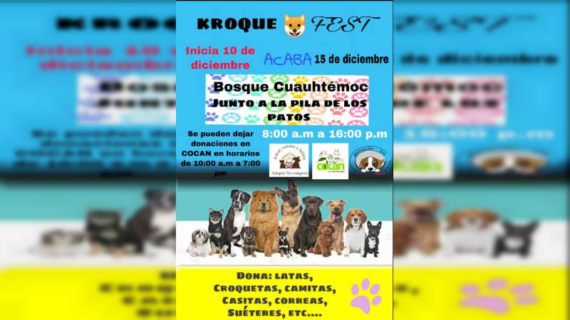 Amor canino y felino, organizó Kroque Fest para reunir alimentos - Foto 0 