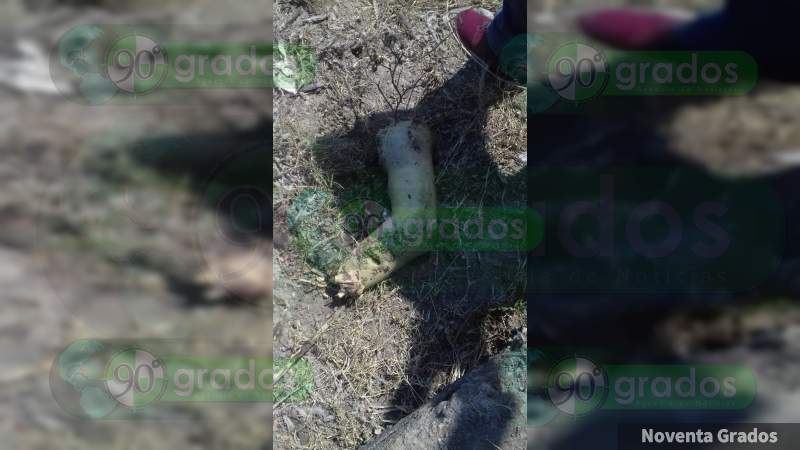 Localizan restos humanos en Buenavista - Foto 0 