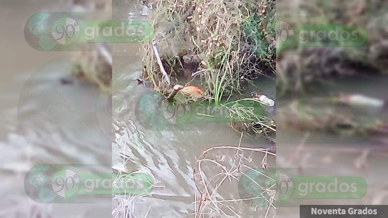 Hallan restos de mujer en río de Buenavista, Michoacán - Foto 0 