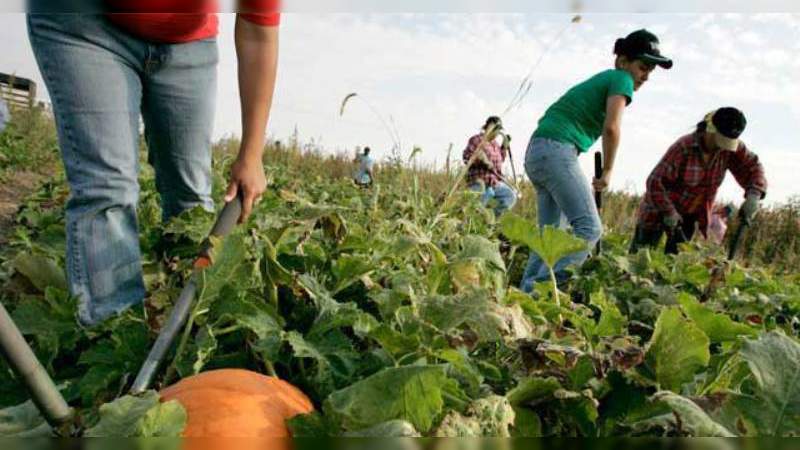 Por desabasto de gasolina, sector agropecuario pierde 5 mil 500 millones de pesos, denuncia el CNA 