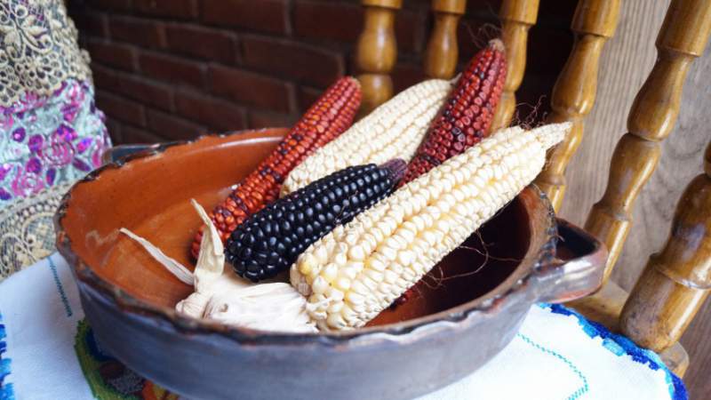 Cocineras Tradicionales, detonante del turismo gastronómico en Michoacán - Foto 4 