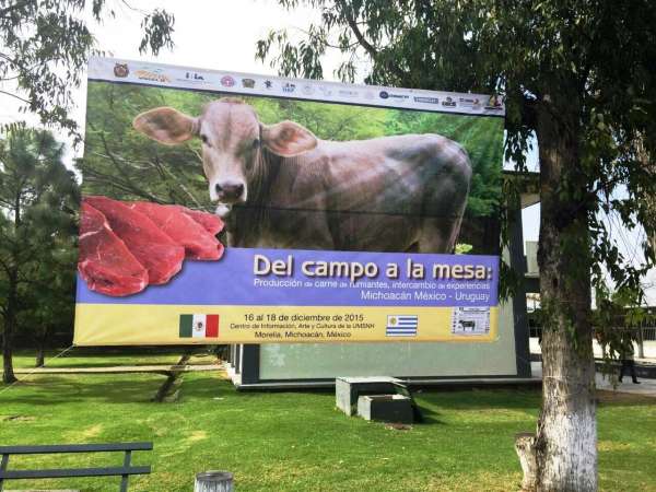 UMSNH difundirá tecnología para productores ganaderos - Foto 1 