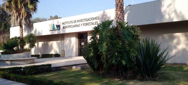 UMSNH difundirá tecnología para productores ganaderos - Foto 2 