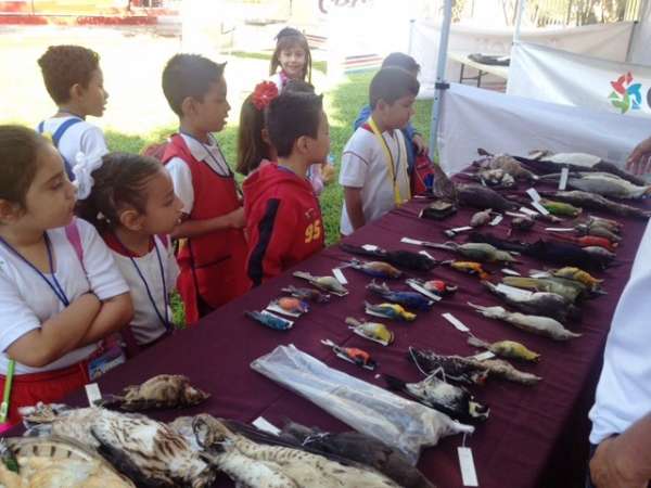 Celebran en Huetamo la 22ª Semana Nacional de Ciencia y Tecnología  - Foto 2 