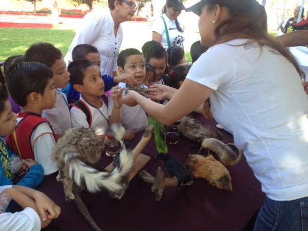 Celebran en Huetamo la 22ª Semana Nacional de Ciencia y Tecnología  - Foto 3 