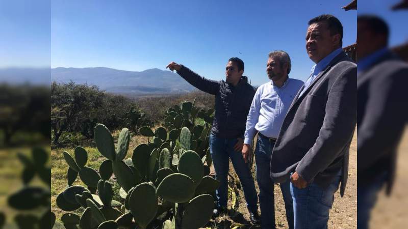 Alfredo Ramírez: Congreso debe dar certeza territorial a Jiquilpan y Sahuayo - Foto 0 