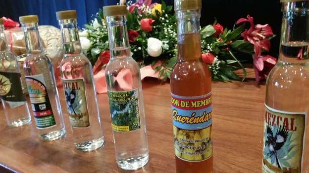 Realizarán Feria del Mezcal Artesanal en Queréndaro 