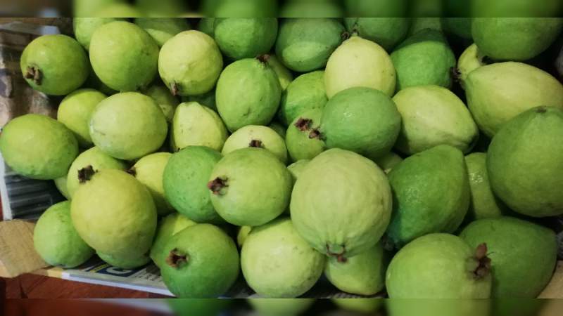 Alistan Expo Feria de la Caña 2019 - Foto 2 