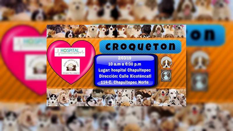 Croquetón: donar también es ayudar 