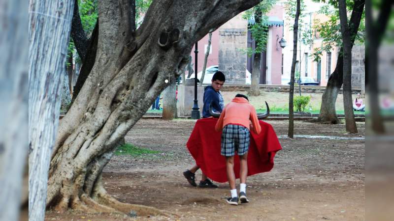 para que es el moso para que es el moso