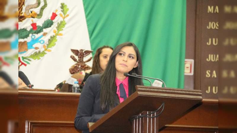 Araceli Saucedo propone incluir la violencia política en razón de género como causa de nulidad de elección - Foto 0 