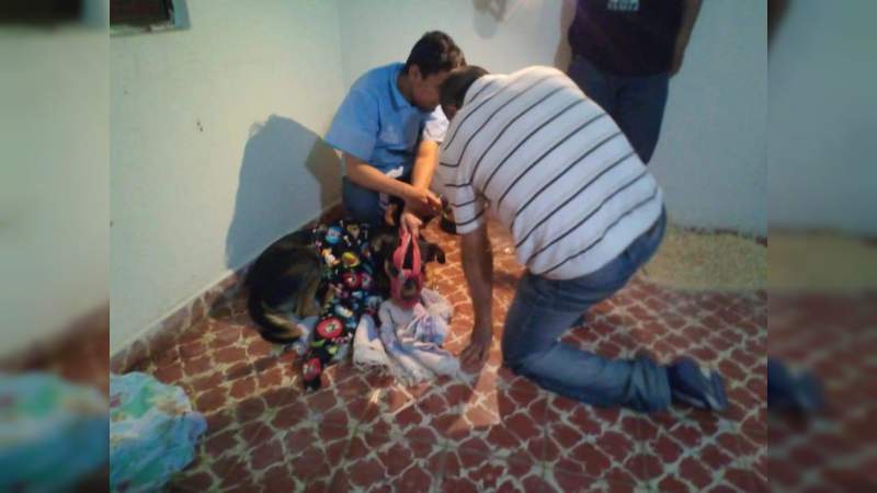 Joven tortura a perro y este pierde la vida, en Ciudad Hidalgo, Michoacán  - Foto 0 