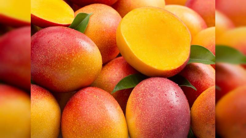 Durante la temporada de mango 2019 en Apatzingán, se espera generar una derrama económica de 1000 mdp: Xavier Chávez 