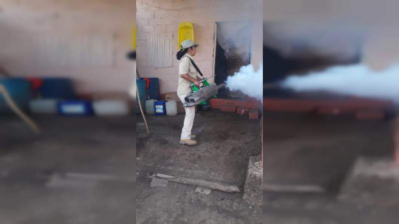 En abril, la primera Semana Nacional de Lucha contra el Dengue, Chikungunya y Zika - Foto 0 
