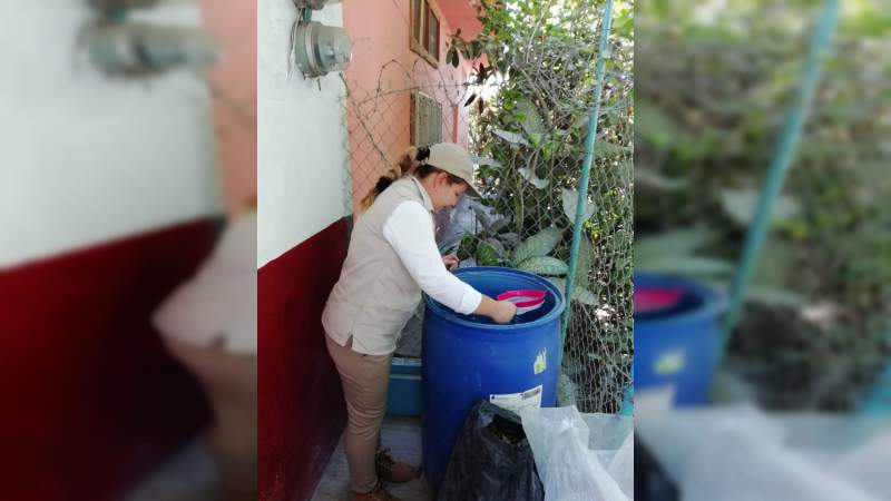 En abril, la primera Semana Nacional de Lucha contra el Dengue, Chikungunya y Zika - Foto 1 