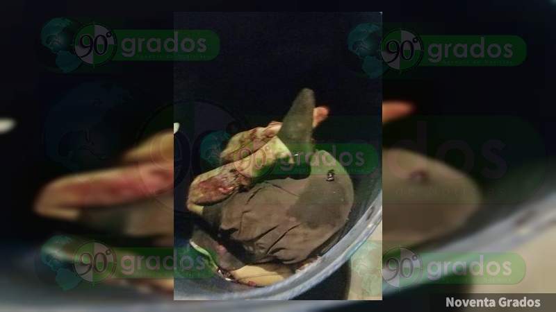 Decapitado y entambado con narcomensaje hallan cuerpo en Tijuana, Baja California 