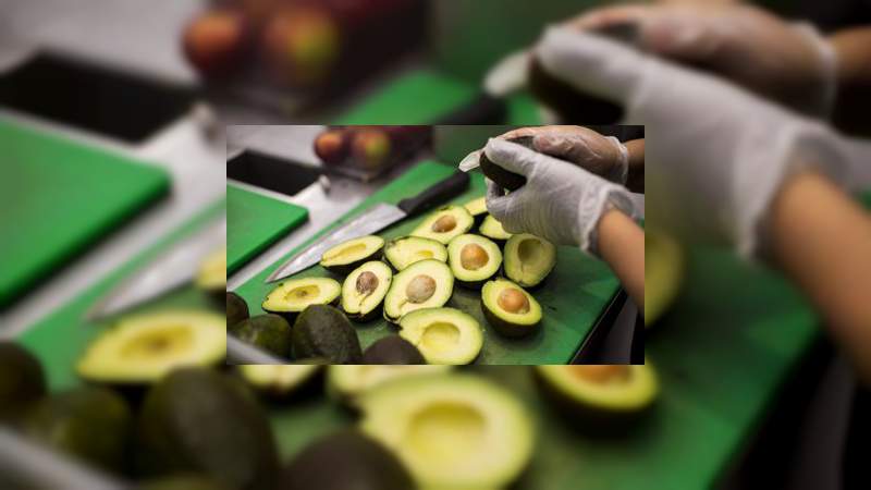 Aguacate michoacano eleva su precio tras amenazas de Trump 