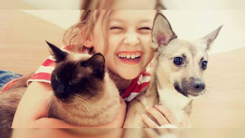 Alertan sobre un virus mortal que perros y gatos transmitirían al ser humano 