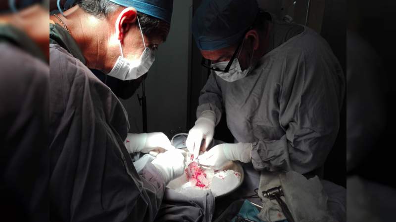 Sensibilización en el tema de donación de órganos, en el curso anual de Donación y Trasplantes del Hospital General de Uruapan - Foto 0 