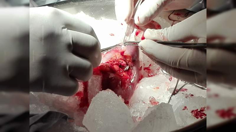Sensibilización en el tema de donación de órganos, en el curso anual de Donación y Trasplantes del Hospital General de Uruapan - Foto 2 