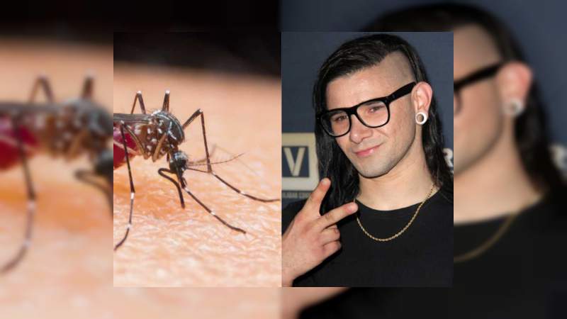 Descubren que la música de Skrillex funciona como repelente de mosquitos 